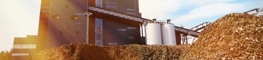 Biomass & Waste to Energy